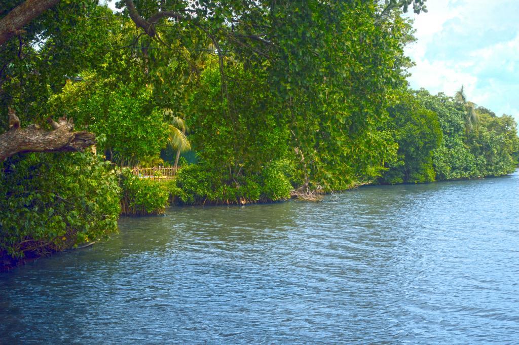 Lumbini Lagoon Koggala Pokój zdjęcie