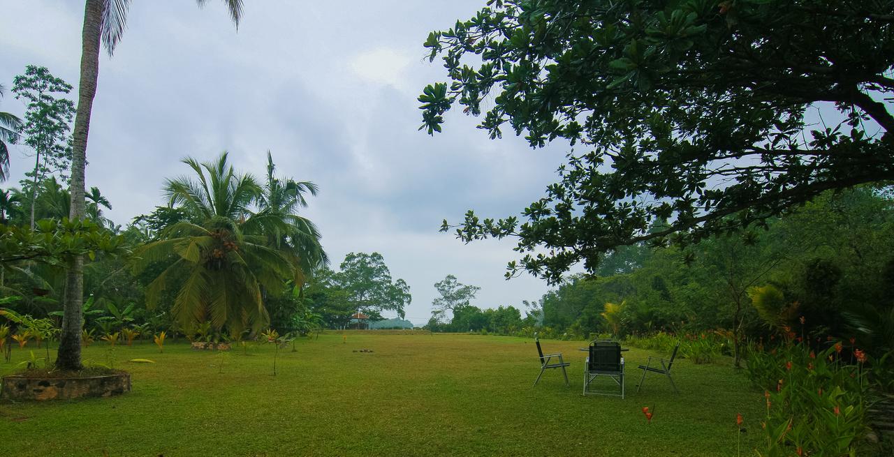 Lumbini Lagoon Koggala Zewnętrze zdjęcie