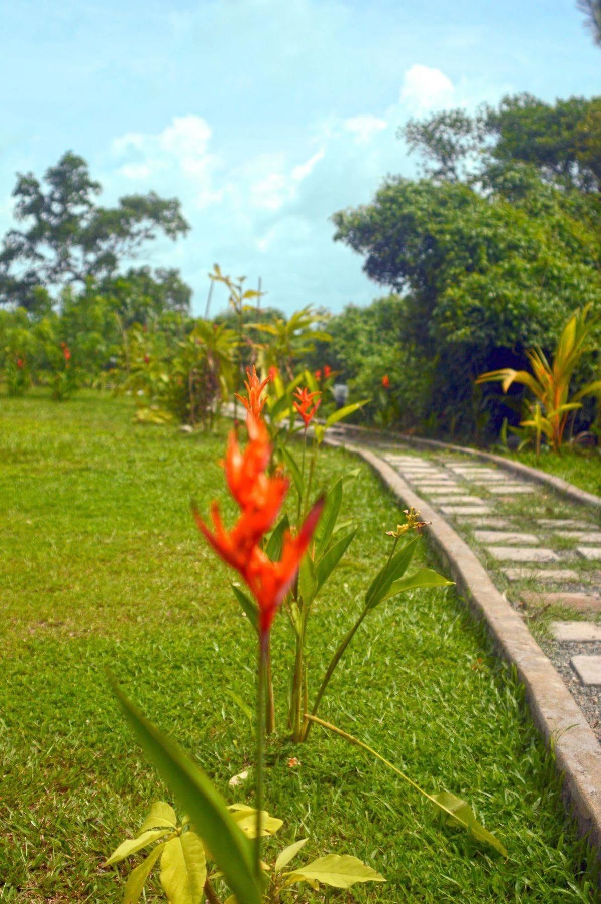 Lumbini Lagoon Koggala Zewnętrze zdjęcie
